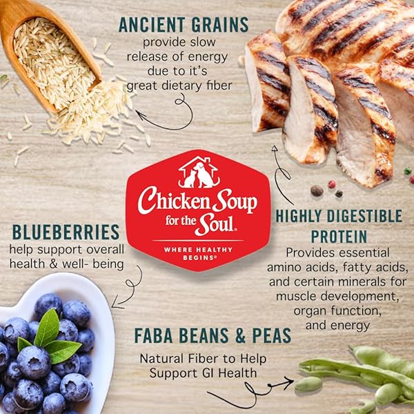 CHICKEN SOUP FOR THE SOUL ALL NATURAL PREMIUM DRY PUPPY FOOD, REAL MEAT FIRST INGREDIENT, NO BY-PRODUCTS, SUPPORTS BRAIN DEVELOPMENT & STRONG BONES & TEETH, CHICKEN, TURKEY & BROWN RICE, 13.5LB