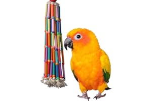 Super Bird Creations SB708 Wind Chimes Bird Toy, Medium Bird Size, 13” x 2”