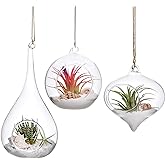 Mkono 3 Pack Glass Hanging Planter Air Fern Holder Terrarium Plants Hanger Vase, Home Christmas Decoration Gifts for Plant Lo