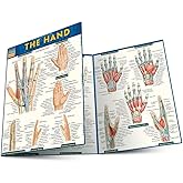 The Hand: QuickStudy Laminated Reference Guide (Quick Study Academic)