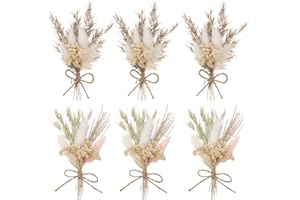 Auidy_6TXD 6 Pcs Dried Flower Bouquet, Mini Natural Dried Flowers Gypsophila Bouquets Table Centerpieces Boutonniere Bridesmaid Flower Girl Gift Box for Boho Wedding, Birthday Cake Table Bottle Decor