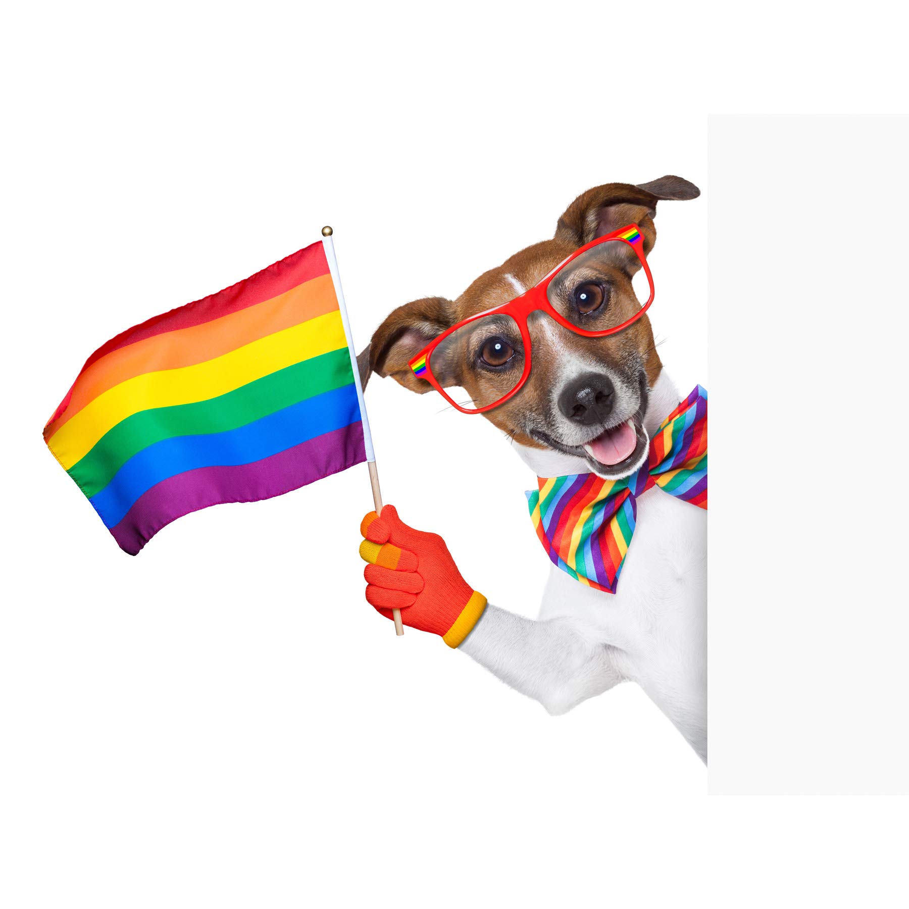 Jack Russell Gay Pride Large Wall Art Print Canvas Premium Poster