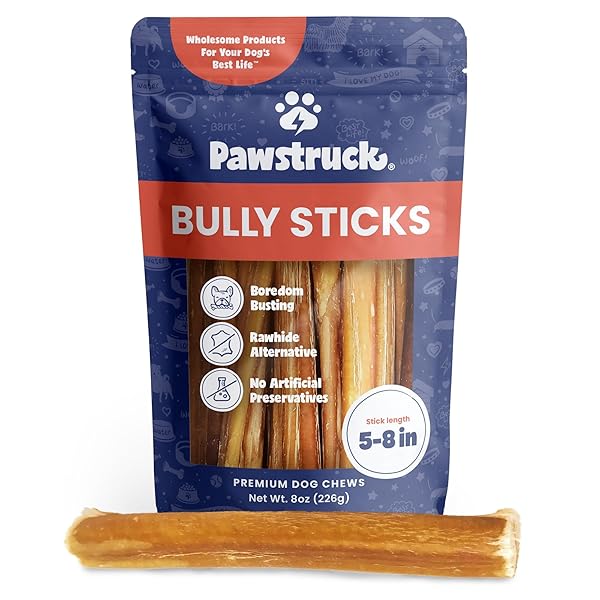 PAWSTRUCK NATURAL 5-8″ BULLY STICKS FOR DOGS – BEST LONG-LASTING, RAWHIDE-FREE, LOW ODOR DENTAL CHEW TREAT – HEALTHY SINGLE INGREDIENT, 100% REAL BEEF – 8 OZ BAG – PACKAGING MAY VARY