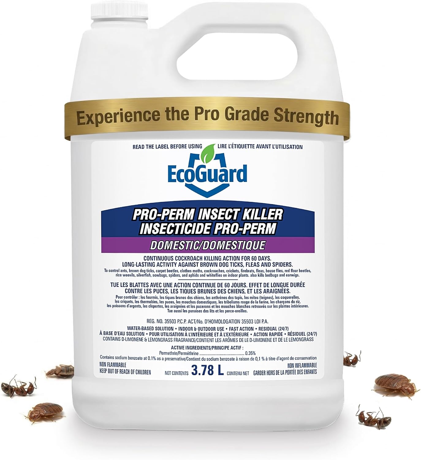 EcoGuard Pro-Perm Insect Killer 3.78L | Professional Insecticide with Fast-Acting Residual Formula | 60 Day Protection | Water-Based, Ready-to-Use Indoors & Outdoors | Sprayer Not Included