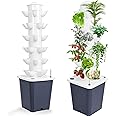 Bidbory Hydroponic Growing System Kit, Hydroponic Growing Tower Aeroponic Tower, 6 Layers 30 Plants, Indoor Vertical Garden for Herbs Vegetables and Fruits