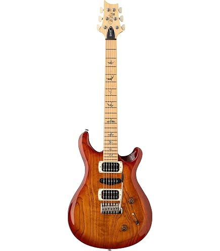 Amazon.com: PRS Paul Reed Smith SE Custom 24-08 6 String Electric