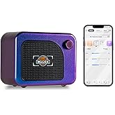 MOOER Hornet05i Portable Mini Guitar Amp for Practice, Bluetooth 5W and Chargeble Battery, 101 Effect Types with Delay/Mod/OD, Loop, Drum, Tuner for Electric Guitar