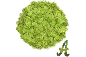 TCYPUHL 3.5 OZ Chartreuse Reindeer Moss, Preserved Moss for Plants, Moss Decor, Green Moss for Crafts, Moss for Potted Plants, Craft Decorative Moss Decor, Dried Moss