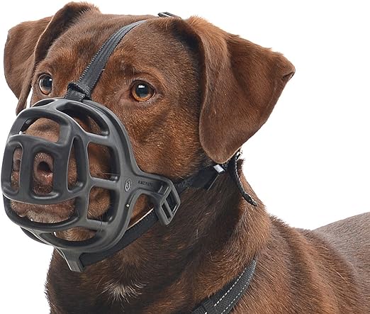 kruuse basket muzzle