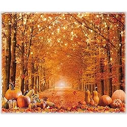 Swepuck 10x8ft Fall Photography Backdrop Autumn