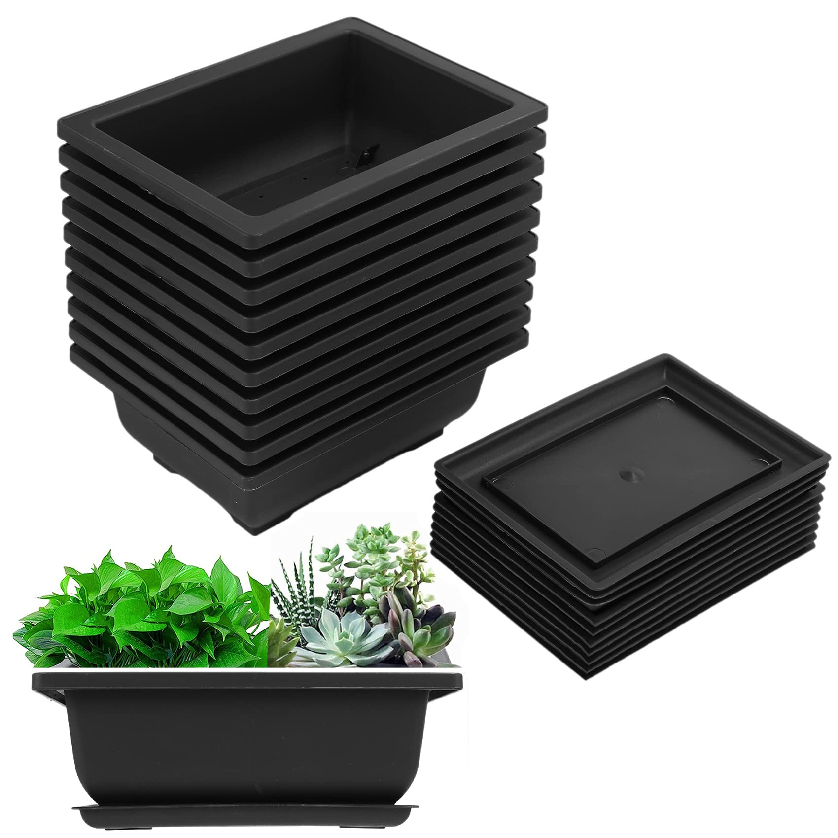 Liseng 10 Packs Of Bonsai Training Potswith Tray, Plastic Bonsai Plants Cultivation Planters for Garden, Yard, Living Room, Balcony, 16.5 x 12 cm