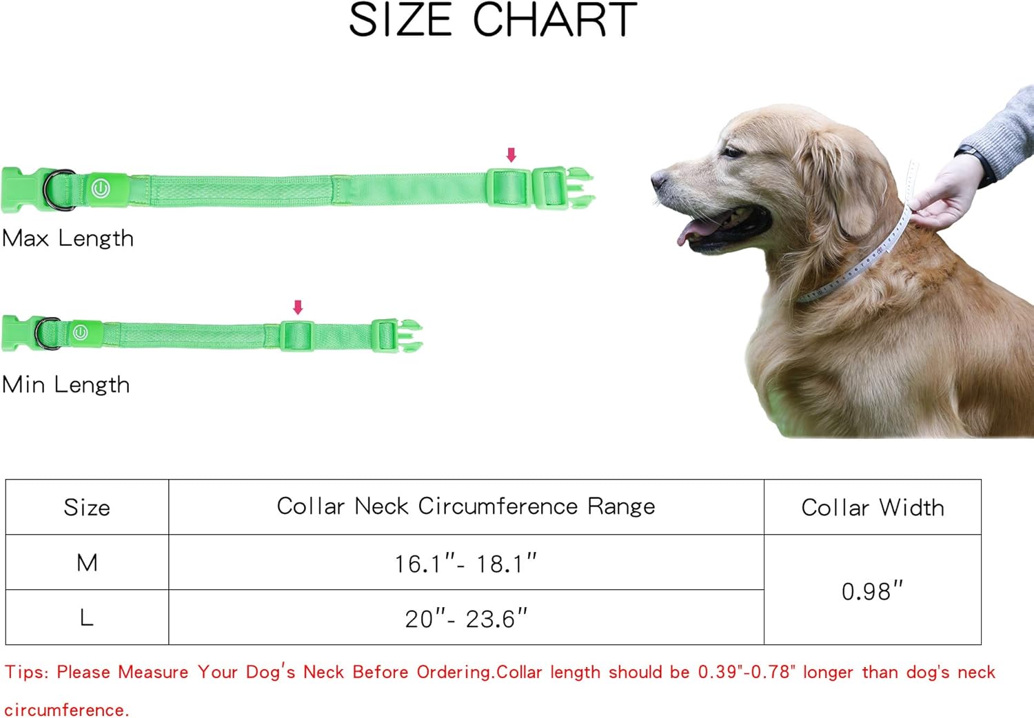 MATCHY2U Rechargeable Led Dog Collar - Soft and Adjustable Waterproof Light up Safety, Makes Your Dog Visible and Safe : Kitchen & Dining