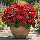 Geosar 8 Bundles Artificial Geraniums for Outdoor 17 Inch Faux Silk Geraniums Plants Faux Flower Bundles UV Resistant Fake Silk Flowers for Home Wedding Table Centerpieces Garden Indoor Decor (Red)
