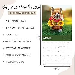 July 2025- December 2026 Wall Calendar 18 Month