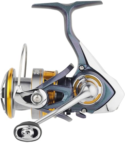 Amazon.com : Daiwa FC LT2000S-H Spinning Reel 24-Celte (2024 Model