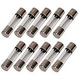 5A Delon Technology - Glass Fuses, time-lag, 10