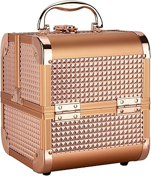 train case luggage new