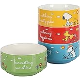 Peanuts Snoopy 5.5-Inch Decorated Stoneware Bowls, Stackable 4-Pack Bowl Set for Cereal, Snacks, or Dessert, Dishwasher &amp; Microwave Safe
