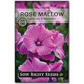 Sow Right Seeds - Rose Mallow Seed for Planting Hibiscus Tree Mallows | Plant annual non-GMO heirloom variety for outdoor home flower garden. Mixed flowers for growing outside pollinator gardening.