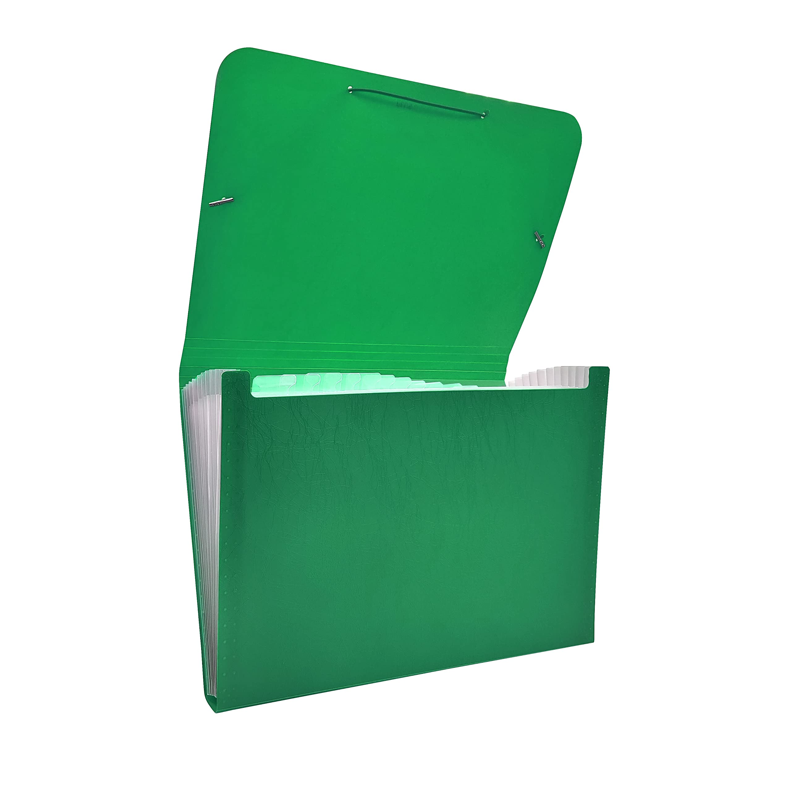 Raylu Paper® - Accordion Sorting Folder 12 Pockets Opaque Plastic Folder with Dividers for Office (Green)