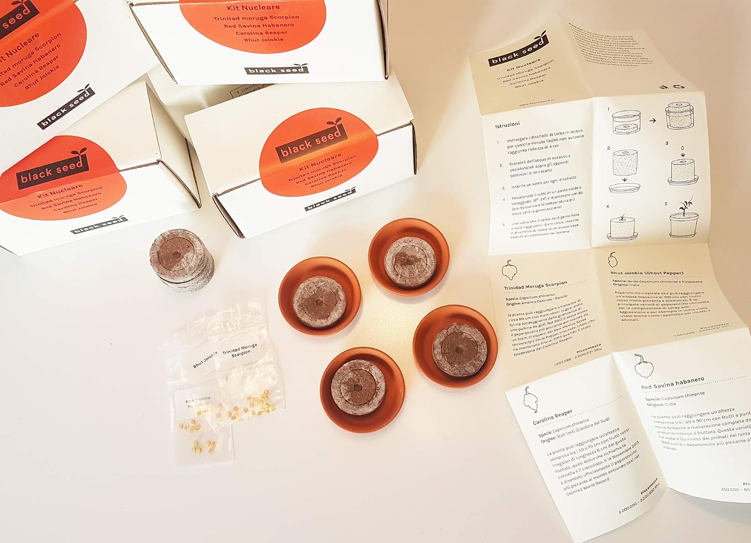 Kit Nucleare – Black Seed – Kit de semillas – Kit de iniciación ...