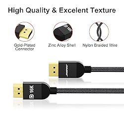 RUIPRO Displayport Cable 2.1 10ft, 80Gbps UHBR20