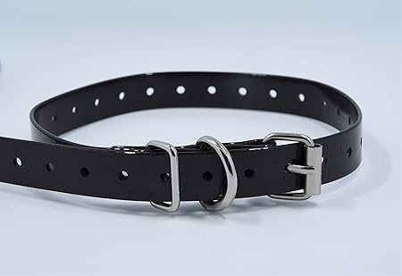 garmin delta training collar