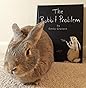 The Rabbit Problem: Gravett, Emily, Gravett, Emily: 9781442412552 ...