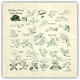 Trail Hankie Deciduous Trees For Hiking, Fishing, Boy Scouts, Camping, Outdoor Recreation - Neckwear/Face Mask/Handkerchief - Made in the USA 100% Cotton, Machine Washable, Natural Bandana