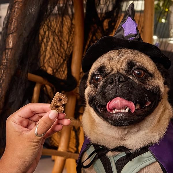 BOCCE’S BAKERY PHANTOM FEAST NATURAL SOFT & CHEWY HALLOWEEN DOG TREATS – WHEAT-FREE EVERYDAY COOKIES FOR DOGS, MADE WITH REAL INGREDIENTS & BAKED IN THE USA – CHICKEN & PUMPKIN FLAVORED (6 OZ BAG)