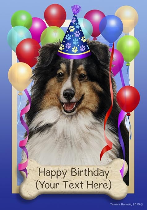 sheltie birthday