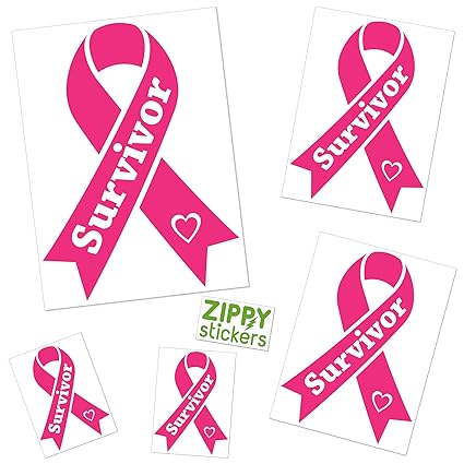 Download Zippy Stickers 5x Bundle Breast Cancer Survivor Decal Ribbon Vinyl Sticker Includes Practice Decal As Shown Bright Pink Great Cancer Survivor Gift 3 Sizes Amazon In Car Motorbike