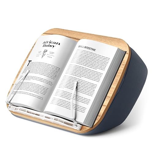 ERGONOV Lap Beanbag Book Stand for Hands Free Reading Comfortable Reading Pillow Stand Minimize Neck Strain Perfect Idea for Book Lovers in Dorm Room or Anywhere Else with Bookseat(Gray)