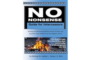 No Nonsense Guide for Intercessors: Building and Maintaining Healthy Houses of Prayer and Apostolic Prayer Ministries for the Kingdom of God