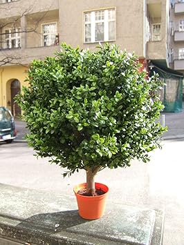 Künstliche Buchskugel,geschützter Aussenbereich, Höhe ca. 45cm 30cm Durchmesser, Top-Qualität