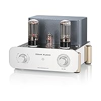 DIFIIFOL Juson Audio JTA50 Tube Amplifier Entry Level High India - View #9