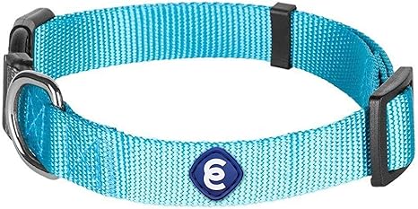 Colors Classic Dog Collar 