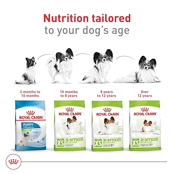 ROYAL CANIN SIZE HEALTH NUTRITION X-SMALL 7+ ADULT DRY DOG FOOD, 2.5 LB BAG