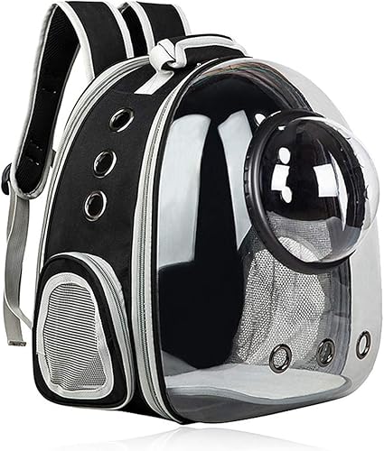 Cat back carrier Clearance