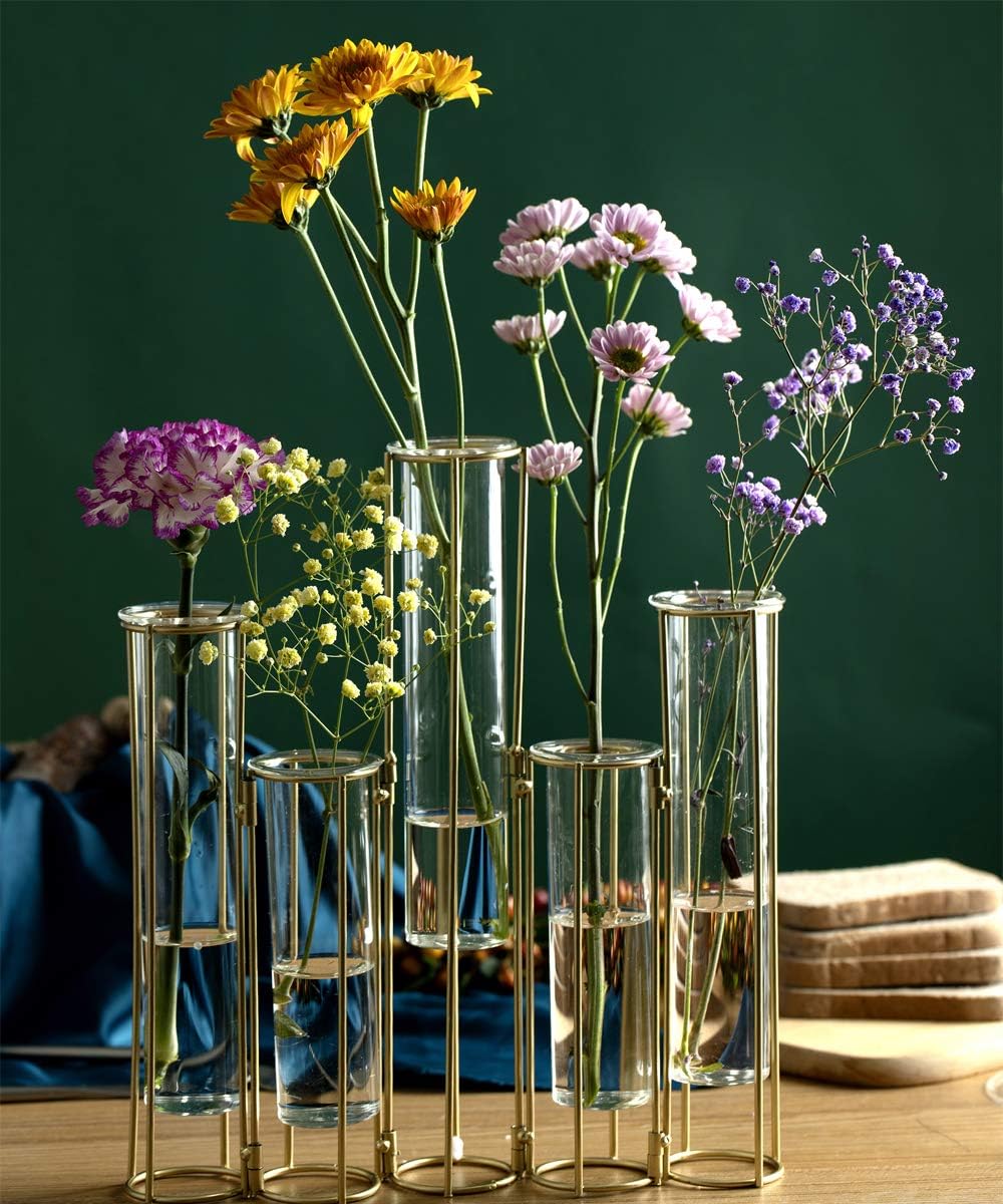 Test Tube Vase for Flowers Set of 5 Glass Vase with Iron Stand Racks Hydroponic Test Tube - Image 3