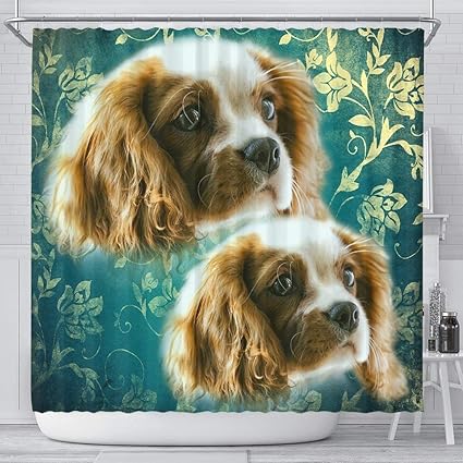 blue cavalier king charles spaniel