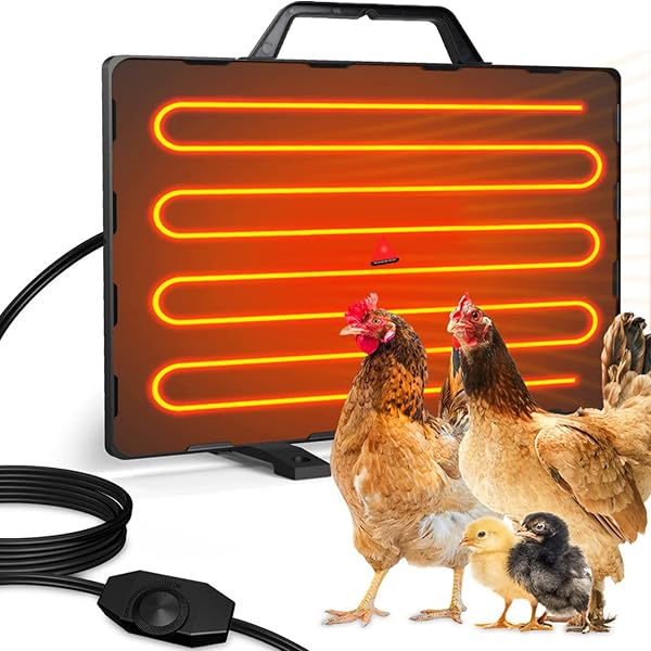 Chicken Coop Heater 140 Watts Energy Efficient Design Safer Than Brooder  Lamps Heater for Chicken Coop, 15.7''x 11.4'' Breeding Heating Plate :  Amazon.ca: Patio, Lawn u0026 Garden
