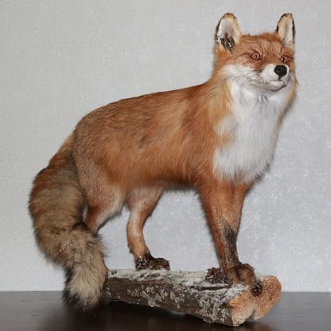 stuffed foxes for sale