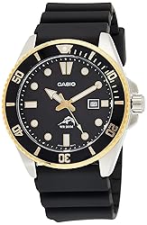 Casio Men's Diver Inspired Stainless Steel Quartz