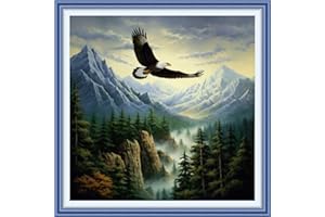 Joyhoor Cross Stitch Kits for Beginners Stamped Cross-Stitch Supplies Needlework preprint Embroidery Kits for Adults DIY Needlepoint Kits Embroidery Patterns 11CT-Eagle Soaring 18.x18 inch
