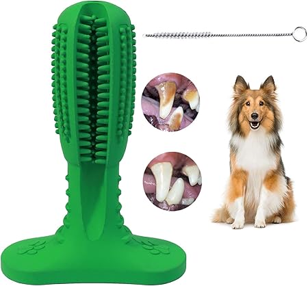 rubber dog toothbrush