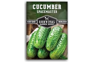 Spacemaster Cucumber Seeds for Planting | Compact Heirloom Non-GMO Variety for Small-Space Gardens – Survival Garden Seeds (1 Pack)