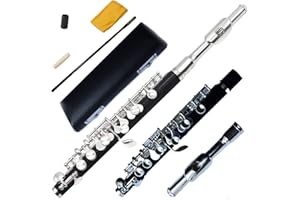 Funion Piccolo Set C Key Ebonite Body Cupronickel Head Keys Silver Plated With Case Cloth Rod