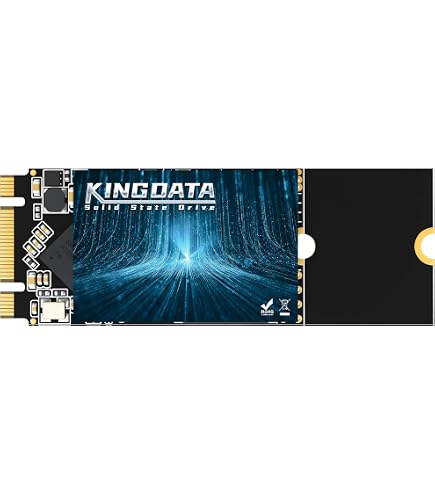 Amazon.com: SSD M.2 2260 1TB Dogfish Ngff Internal Solid State