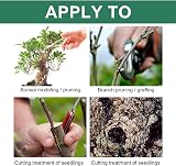 Hivetz 100g Tree Wound Sealer Wound Dressing Grafting Wax with Brush view 5